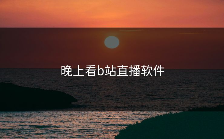 晚上看b站直播软件