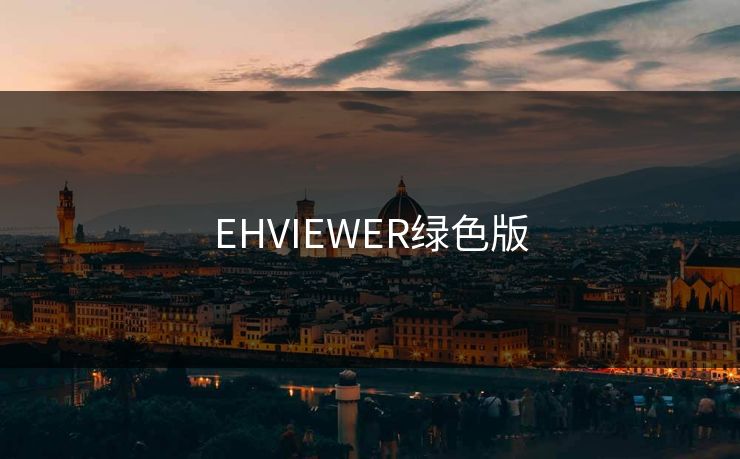 EHVIEWER绿色版