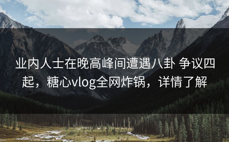 业内人士在晚高峰间遭遇八卦 争议四起，糖心vlog全网炸锅，详情了解