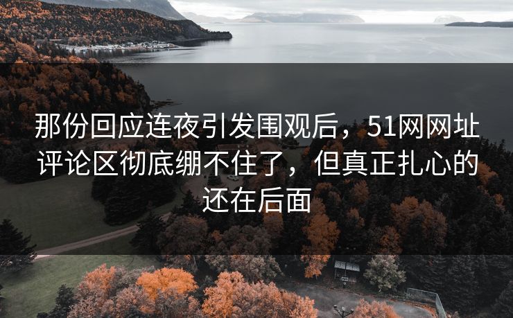 那份回应连夜引发围观后,51网网址评论区彻底绷不住了,但真正扎心的还在后面 那份回应连夜引发围观后,51网网址评论区彻底绷不住了,但真正扎心的还在后面