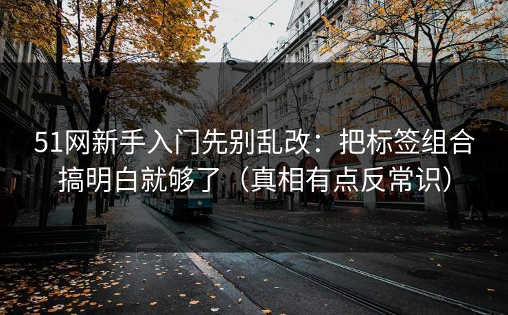 51网新手入门先别乱改：把标签组合搞明白就够了（真相有点反常识）
